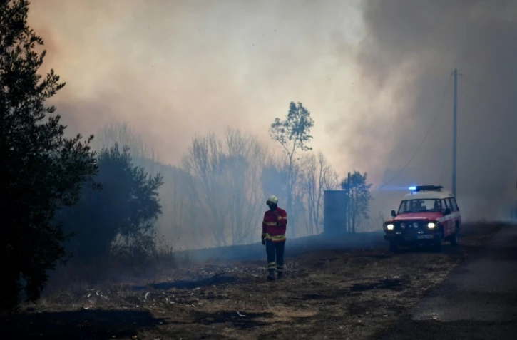 La forêt brûlée par un incendie près du village de Pucarica (Abrantes), le 10 août 2017