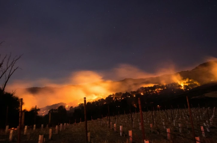 Incendie dans la région viticole de Napa, en Californie, le 9 octobre 2017