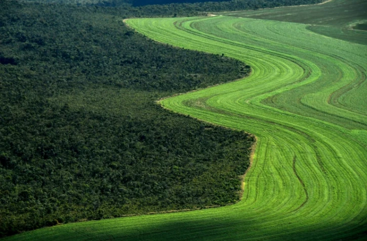 The Intergovernmental Panel for Climate Change special report on land use is expected to warn how industrialised food chains, rampant resource exploitation, and even efforts to stave off the worst effects of global warming, are jeopardising our future ability to feed ourselves