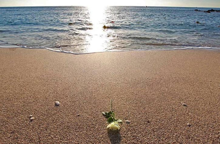 Mercredi 21 Septembre 20011


Hommage à Mathieu Schiller sur la plage de Boucan Canot