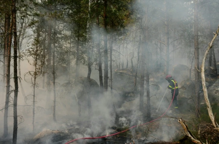 Un pompier lutte contre un incendie dans la forêt de Fontainebleau, à Noisy-sur-École, le 14 juillet 2026 en Seine-et-Marne