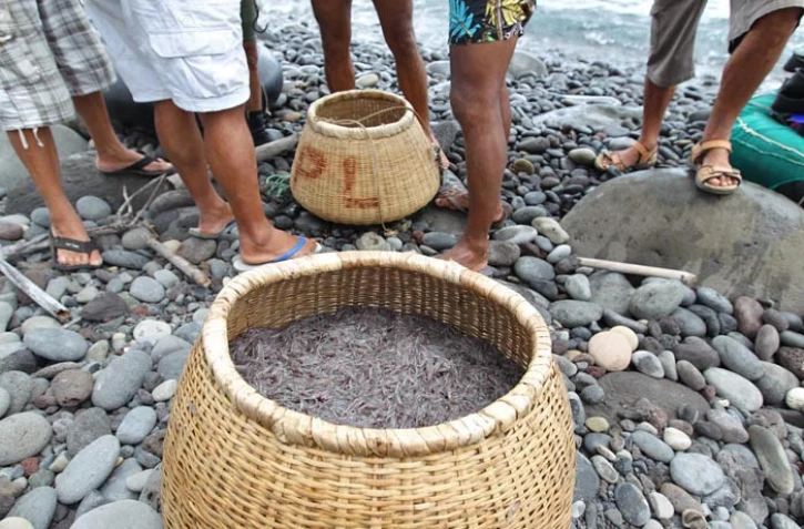 Vendredi 21 Octobre 2011
PĂȘche Bichique Ă la Possession