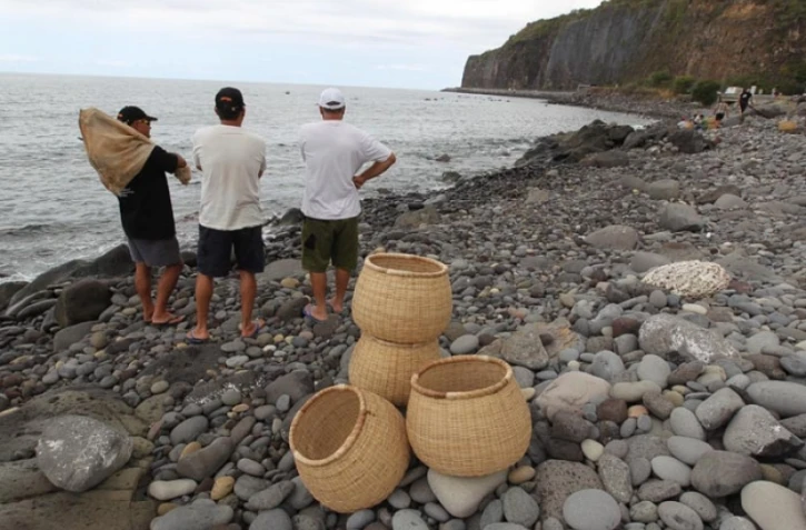 Vendredi 21 Octobre 2011

Pêche  Bichique à la Possession