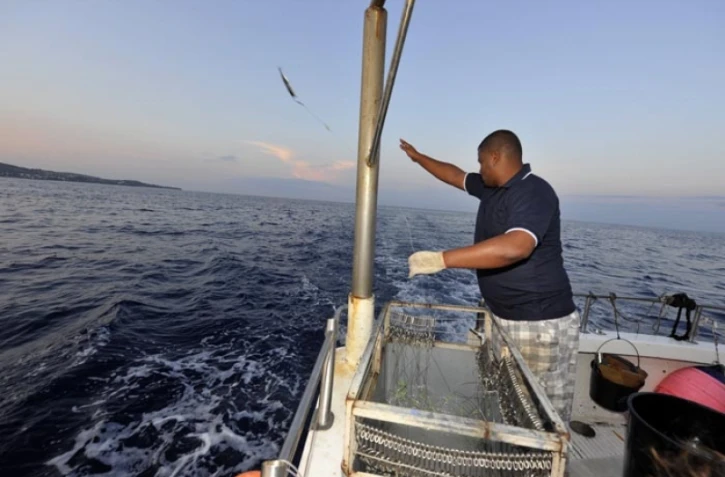 Lundi 24 Octobre 2011
Marquage de requin sur la côte ouest (photo pool/Emmanuel Grondin)