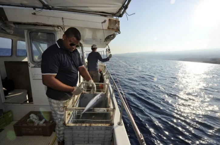 Lundi 24 Octobre 2011
Marquage de requin sur la côte ouest (photo pool/Emmanuel Grondin)