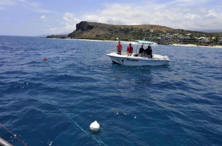 Lundi 24 Octobre 2011
Marquage de requin sur la côte ouest (photo pool/Emmanuel Grondin)
