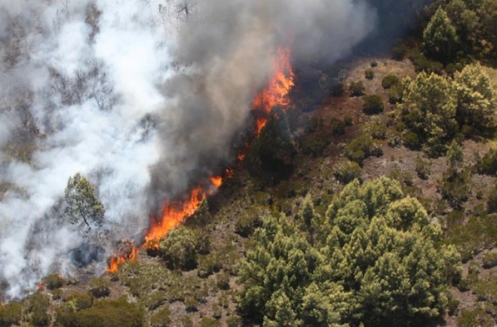 Mercredi 26 Octobre 2011
Incendie au Maïdo