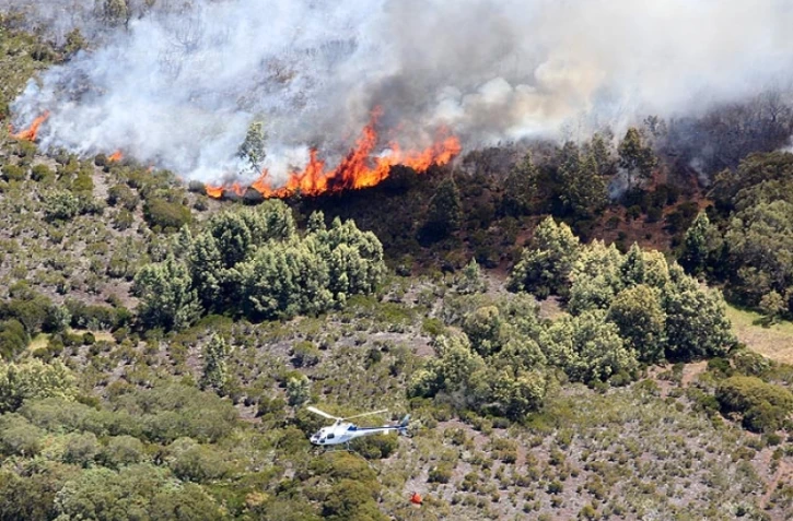 Mercredi 26 Octobre 2011
Incendie au MaĂŻdo