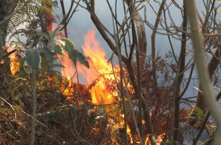 Dimanche 30 Octobre 2011
Incendie chemin Vaudeville.