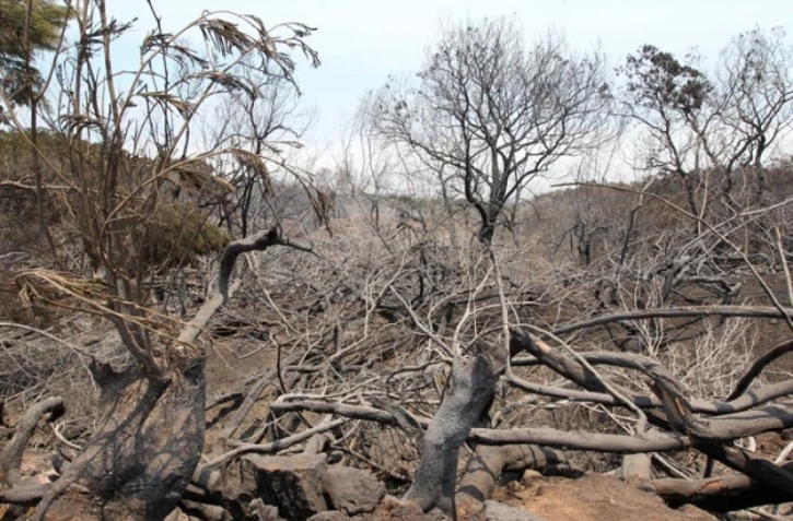 Lundi 31 Octobre 2011
Feux au Maïdo