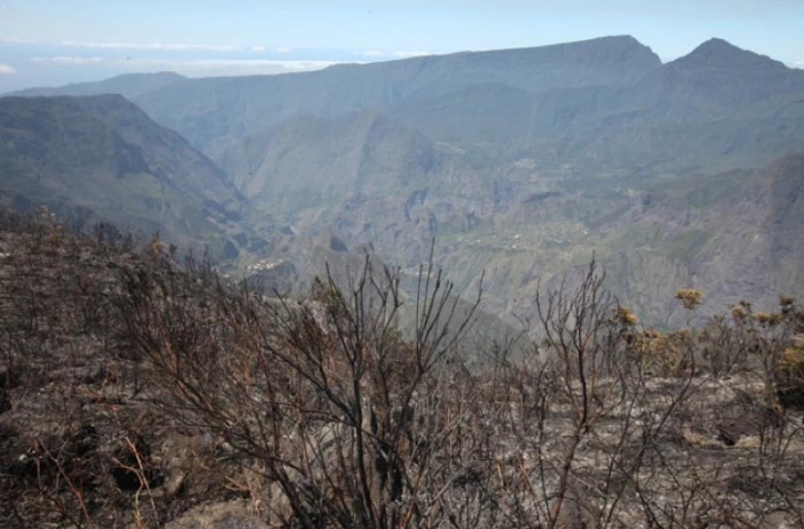 Lundi 31 Octobre 2011

Feux au Maïdo