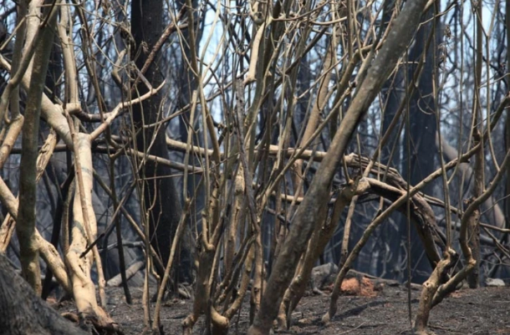 Lundi 31 Octobre 2011

Feux au Maïdo