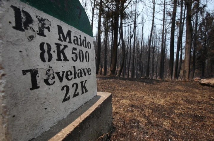 Lundi 31 Octobre 2011
Feux au Maïdo