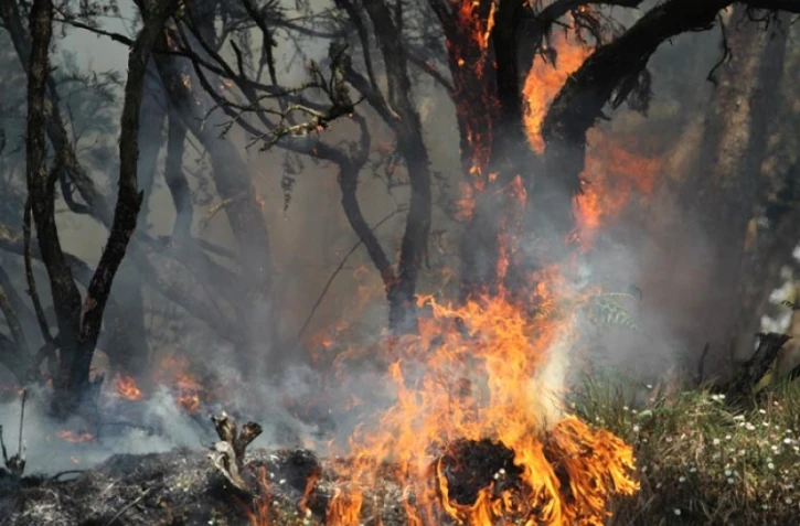 Lundi 31 Octobre 2011

Feux au Maïdo
