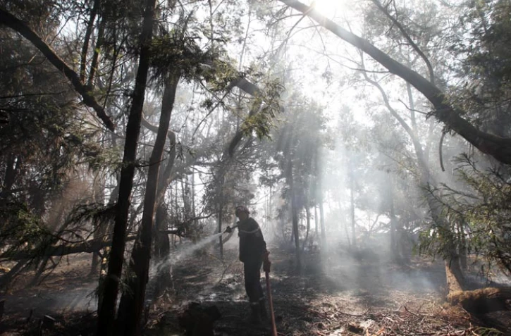 Mardi 1 Novembre 2011
Feux du MaĂŻdo
