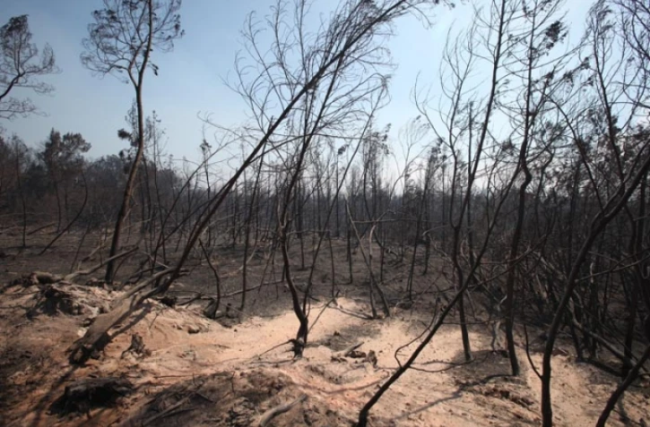 Jeudi 3 Novembre 2011

Feux au Maïdo