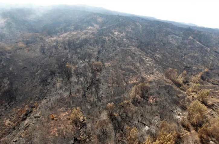 Dimanche 6 Novembre 2011

Feux au Maïdo