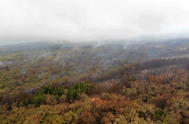 Dimanche 6 Novembre 2011
Feux au Maïdo