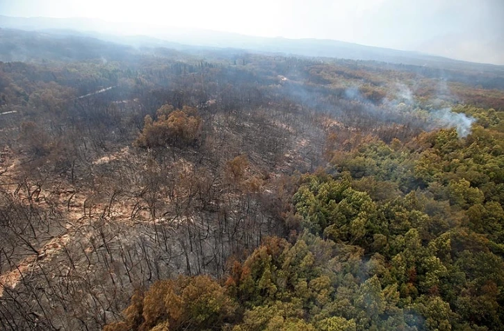 Dimanche 6 Novembre 2011

Feux au Maïdo