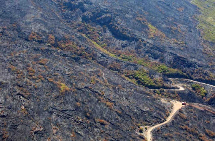 Dimanche 6 Novembre 2011
Feux au Maïdo