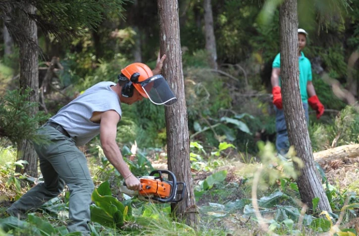 Ouvriers de l'office national des forêts
