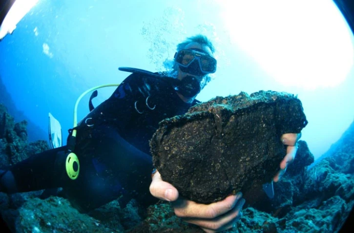 Projet Biolave (photo ARVAM)