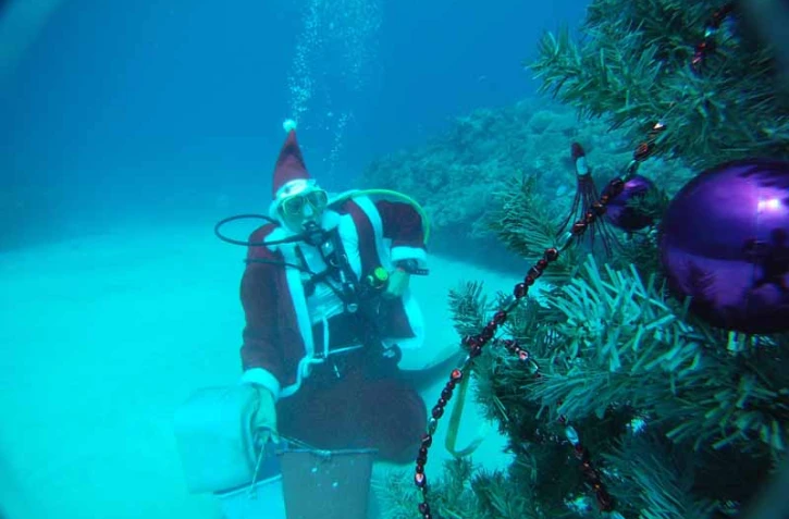 Le Père et la Mère Noël font de la plongée - Saint-Leu
