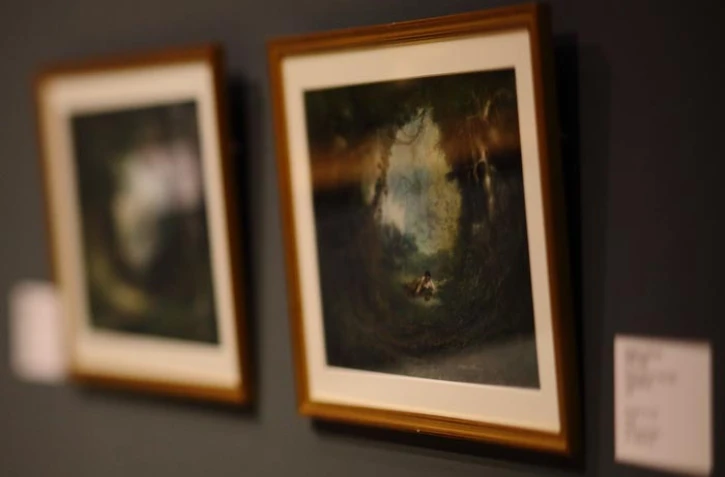 L'exposition temporaire "Voyages dans les îles de l'océan Indien" de Martial Potémont (Photo image-reunion pour www.ipreunion.com)