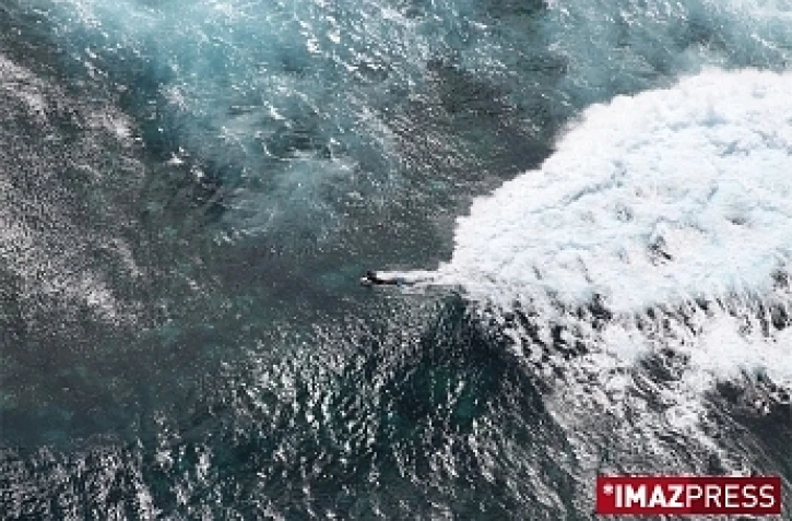 Un surfeur frôlé par un requin