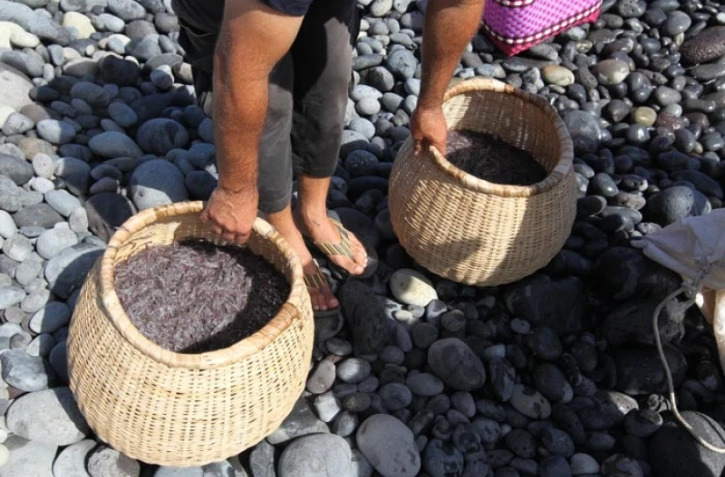 Mardi 17 Janvier 2012
Pêche Bichique à Saint-Denis