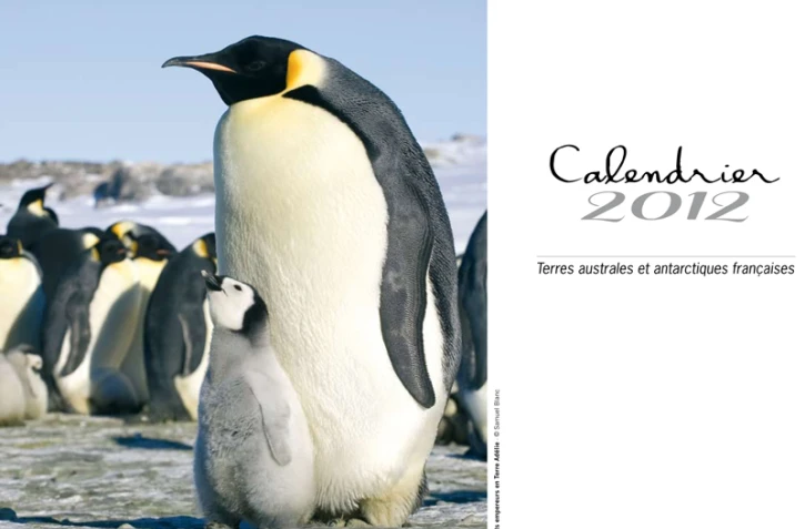 Le 26 janvier 2012 - Remise du calendrier fait en partenariat par les élèves du lycée professionnel de Saint-Pierre et les TAAF