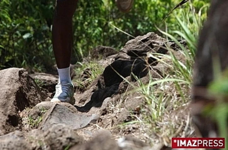 Sentier (photo archive)