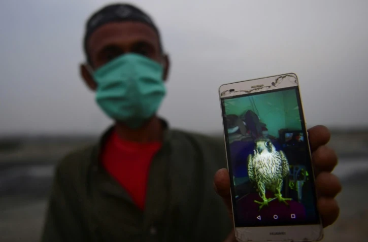 Muhammad Rafiq montre sur son smartphone la photo d'un faucon qu'il a vendu au marché noir, le 24 novembre 2020 près de Karachi, au Pakistan