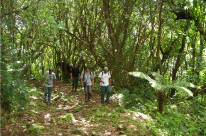 Espace naturel sensible de Bois Blanc - Fourré à jam-rozat (photo D.R)