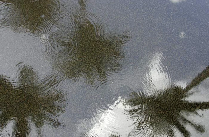 Pluie