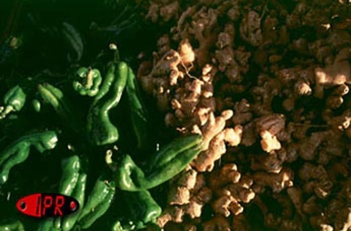 Gingembre (photo archives)