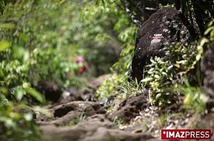 Sentier (photo archives)