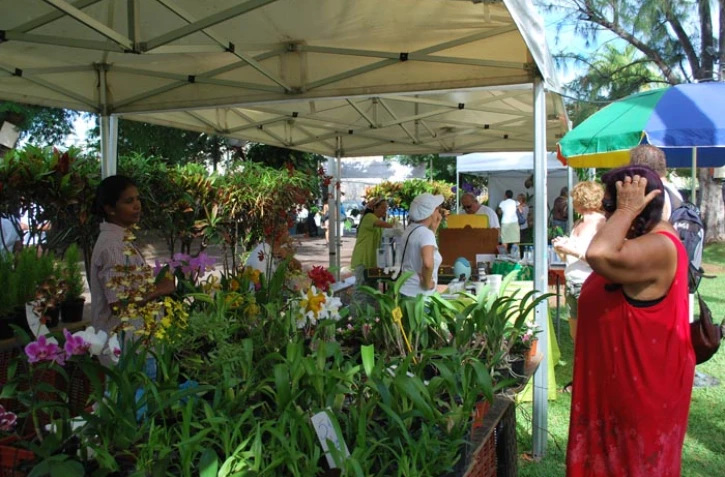 Dimanche 1er avril 2012 - Marché aux plantes à Saint-Leu (Photo D.R)