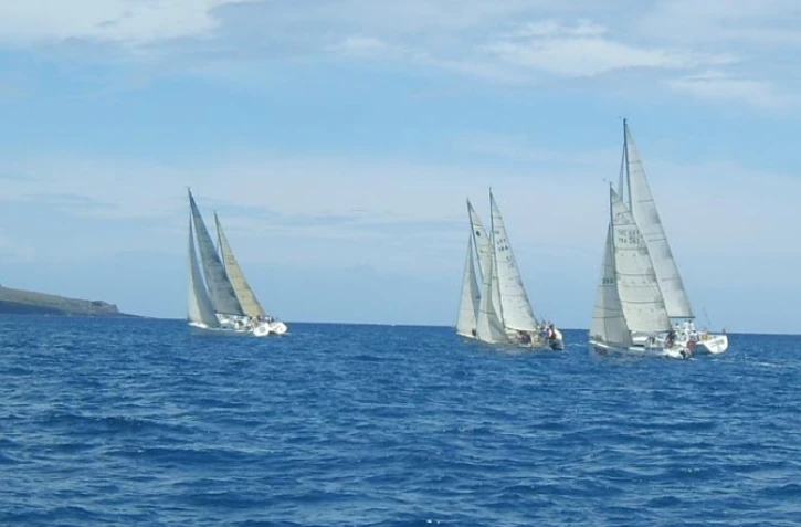 Spi Réunion 2011 (photo D.R)