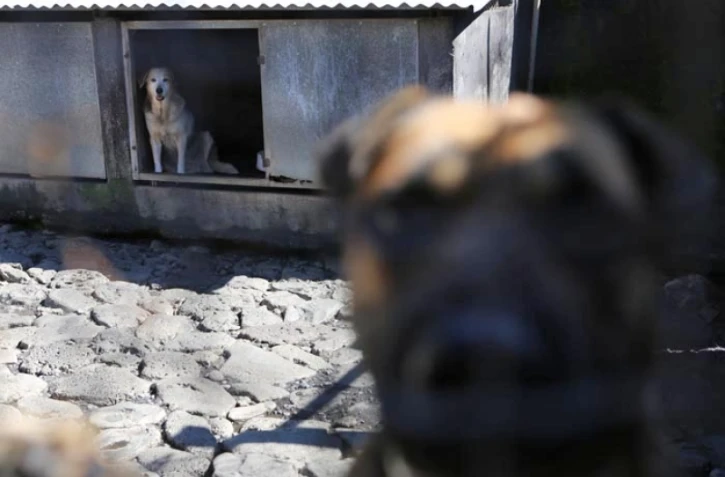 Mercredi 16 Mai 2012
Refuge l'arche de Noé à Sainte- Anne