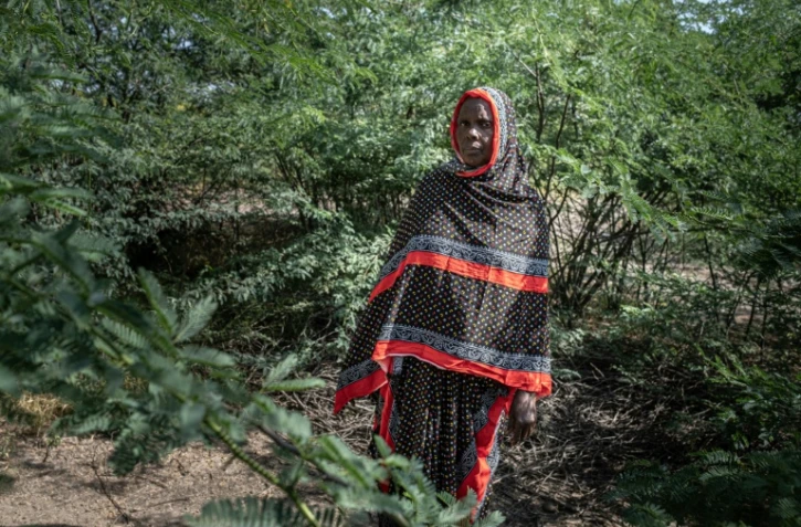 L'éleveuse Khadija Humed dans une zone complètement envahie par le prosopis, un arbuste épineux originaire d'Amérique latine, le 17 octobre 2025 à Amibara, dans la région de l'Afar, en Ethiopie