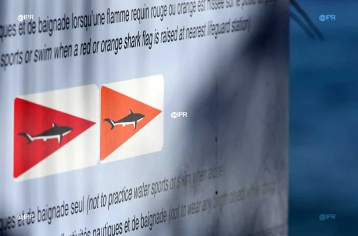 Plage de Roches Noires