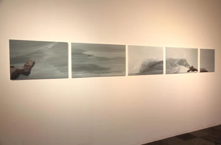 Ecole supérieure d'art de La Réunion - Projet de Lise Sorel (photo D.R)