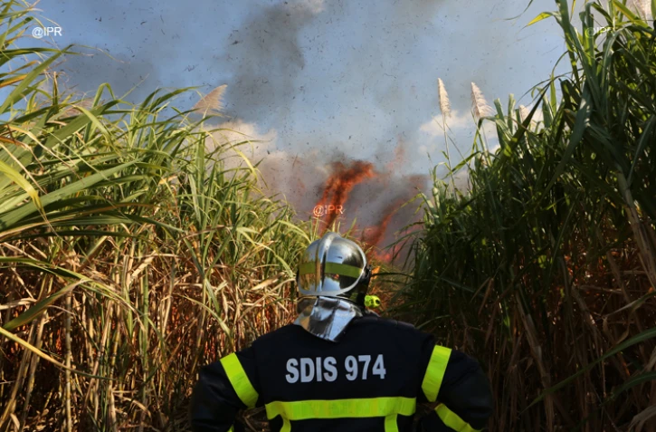 Mardi 3 juillet 20132 - Saint-Denis - Incendie dans des champs de cannes à Domenjod