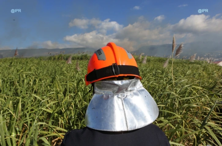 Mardi 3 juillet 20132 - Saint-Denis - Incendie dans des champs de cannes à Domenjod