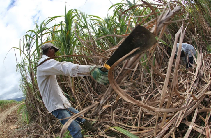 Photo archive imaz press