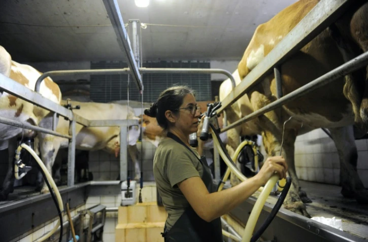 Le Service de remplacement de La Réunion existe depuis 2004.