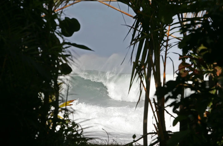 Photo archive imaz press reunion