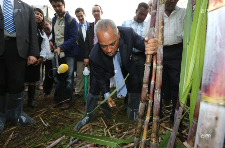 Vendredi 13 Juillet 2012
Victorin Lurel Ă la rencontre du monde agricole