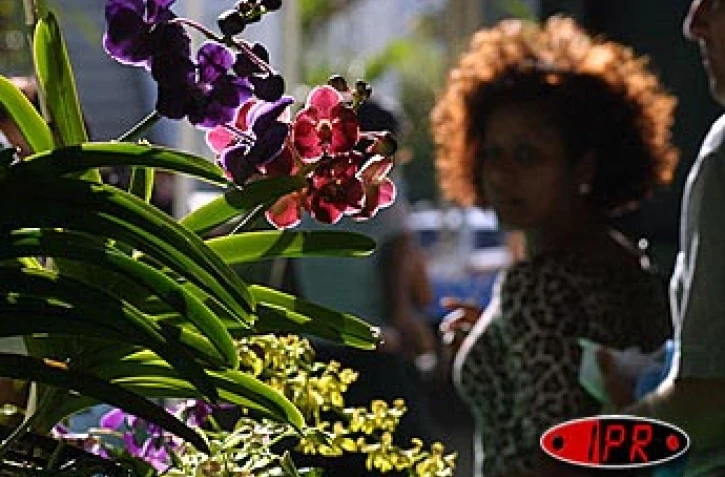 Florilèges (photo archives)